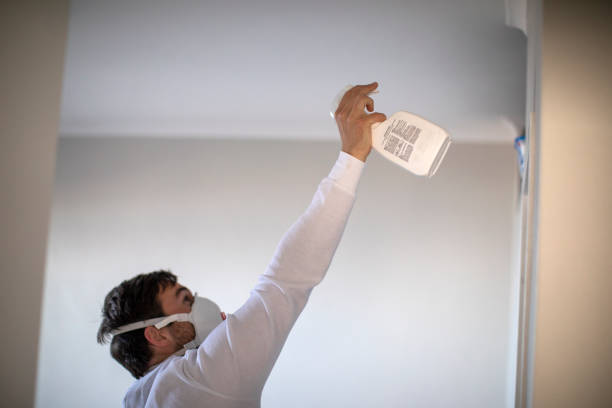Best Mold Testing  in Dresden, OH