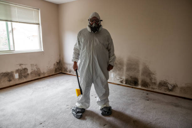 Best Office Mold Removal Services  in Dresden, OH